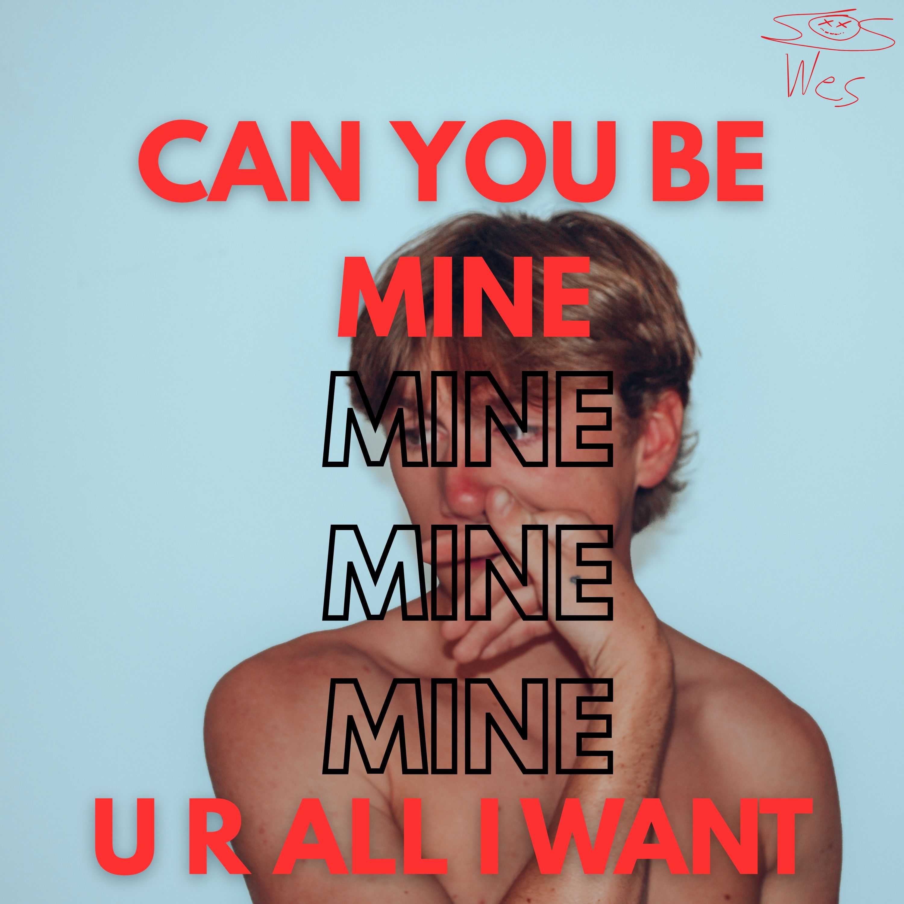 SOS Wes acapella artwork